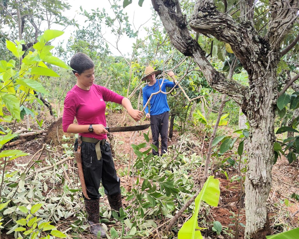 Oficina de Agrofloresta